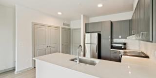 The Belle at the Lamar Gallery 63