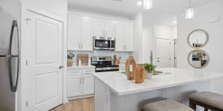 River Rock at Blume Road - 55+ Apartment Homes Gallery 2