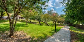 Preston Peak Preston Peak Gallery 11