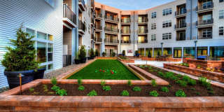 Phoenix Village Gallery 1