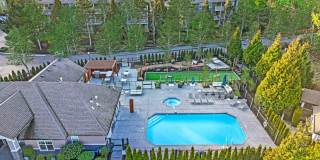 Brookside Village Gallery 24