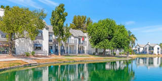 Lakeside Gallery 16