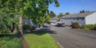 Avana Evergreen Gallery 27