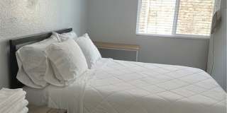 22414 Scarlet Sage Way Gallery 19