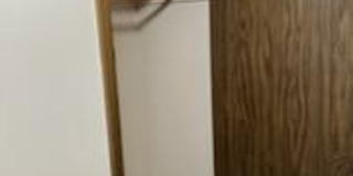 Pine Tree Flats Gallery 45