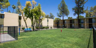 Scottsdale 59 Gallery 14