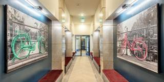 The Cameron Gallery 21