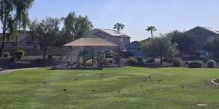 New Remodel 3 bedroom, 2 bathroom Gallery 29