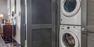 Terra at University North Park Gallery 6