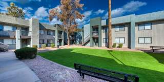 TelaVerde Gallery 17