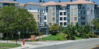 Avalon Silicon Valley Gallery 38