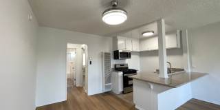 15925 Victory Blvd. Gallery 31