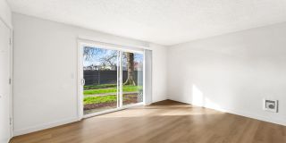 Driftwood Gallery 27