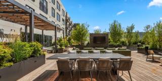 Alder at Allston Yards Gallery 2