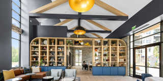 NOVEL Morrisville Gallery 15