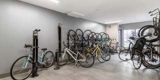 Sofi at Salem Station Gallery 23