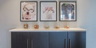 LoHi Gold Apartments Gallery 12