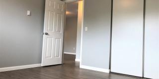 The Pines Apartments Gallery 9