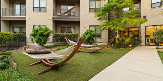 The Standard at Legacy Gallery 47