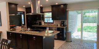 Gorgeous updated home. Gallery 7