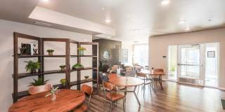 Lakeside Flats Gallery 15