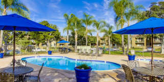 Mesa Village Gallery 1