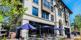 Mercato Grove Gallery 36