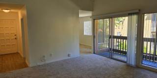 17189 W Bernardo Dr Gallery 8