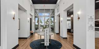 Terra Terra Gallery 11