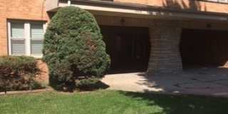 2420 W Berwyn Avenue unit: 304 Gallery 1