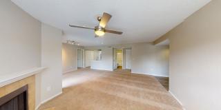 Cypress Run Gallery 36