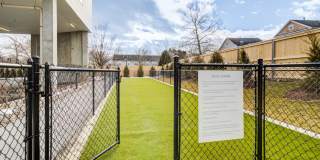 Cadence on Canal Gallery 22