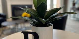 Brooklyn Place Gallery 24