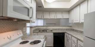 Canyon Creek Gallery 10