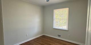 3 bedroom home near Wire Park Gallery 25