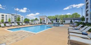 Mosby at Bridge Street Gallery 5