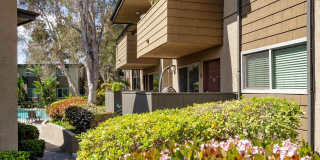 Elán Solana Pointe Gallery 3