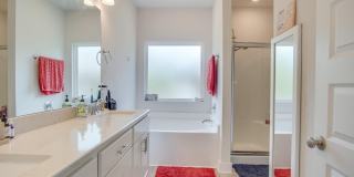 229 Camellia Dr Gallery 15