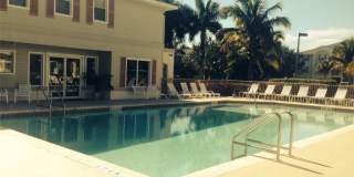 Condominium for Rent in Cape Coral. 2bed/2bath . Zip code 33990 Gallery 4