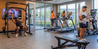 Icon One Daytona Gallery 4