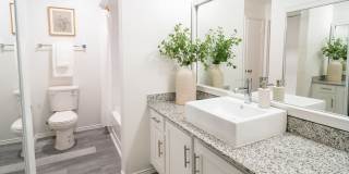 Lyv Austin Gallery 13