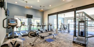 Ironhorse at Tramonto Gallery 6