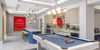 Tortoise One Gallery 54