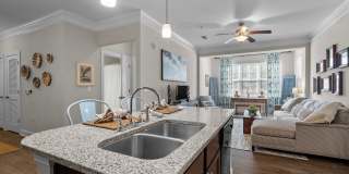 The Arbors at East Village Gallery 4