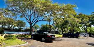 113 Lake Emerald Drive Gallery 13