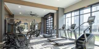 The William Gallery 6