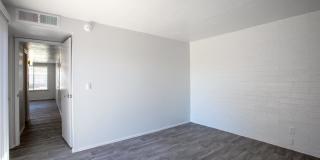 Icon on Stella Gallery 8