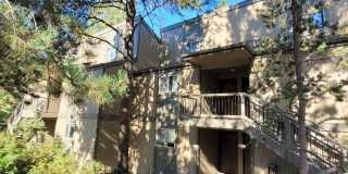 Mt. Bachelor Village Condo #207 Gallery 4