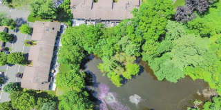 124 Foxwood Drive Gallery 42