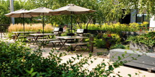 The Murals of LynLake Gallery 5